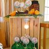 AV Design and Events