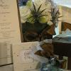 AV Design and Events