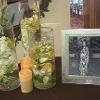 AV Design and Events